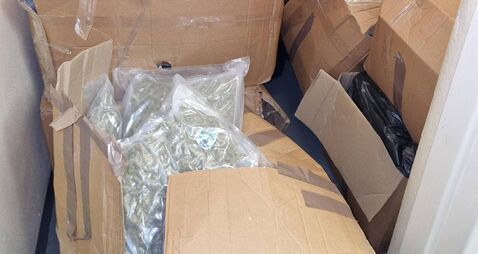 Four arrested as gardaí seize €7m worth of cannabis in Co Kildare