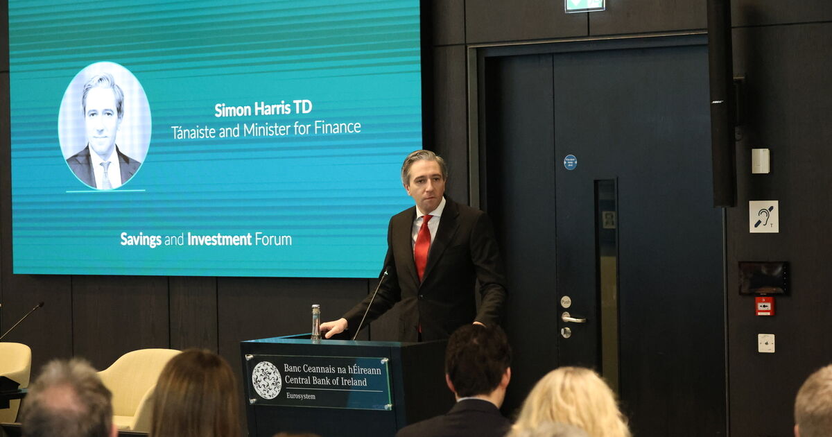 ieExplains: How will the new Government saving scheme work?