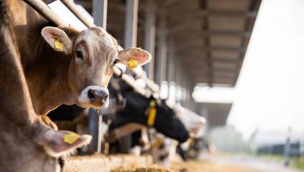 Agri-food regulator set to protect farmers against unfair trading practices