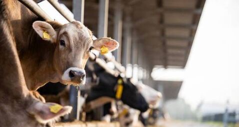 Agri-food regulator set to protect farmers against unfair trading practices