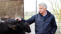 Michael O'Leary tells Irish beef farmers to "stop whingeing" about Mercosur