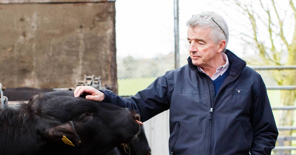 Michael O'Leary tells Irish beef farmers to 'stop whingeing' about Mercosur