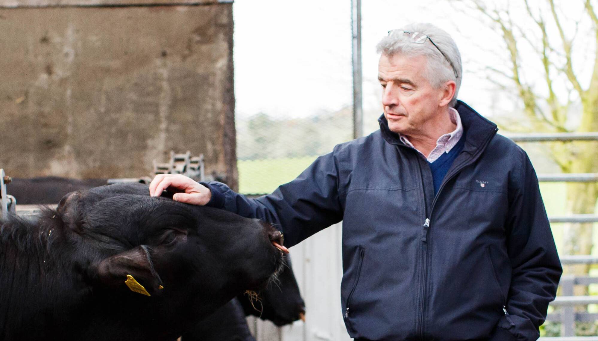 Michael O'Leary tells Irish beef farmers to 'stop whingeing' about Mercosur