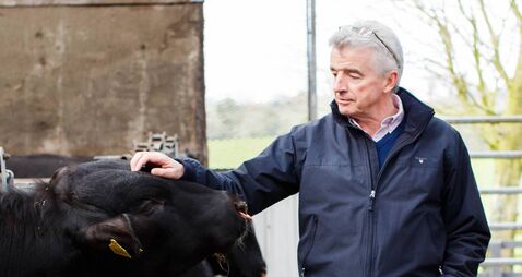 Michael O'Leary tells Irish beef farmers to 'stop whingeing' about Mercosur