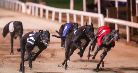 A general view of the action 23/11/2024