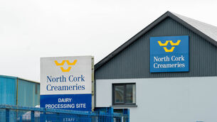 <p>North Cork Creameries and Carbery have reached a supply agreement. Picture: Noel Sweeney</p>