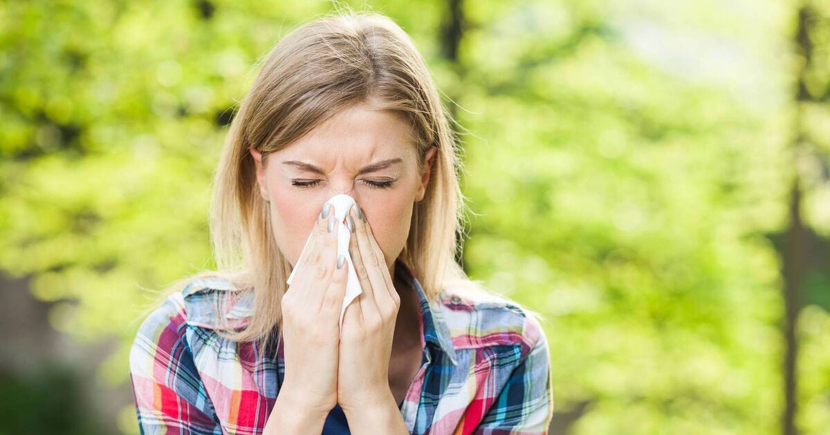 Hay Fever Relief: Expert Tips and Natural Remedies - News Directory 3