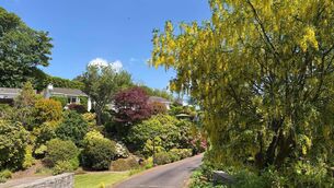 <p>Laurel Wood, Farren</p>