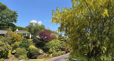 A Cork garden grown over half a century: Inside Laurel Wood, Farran, at €790,000