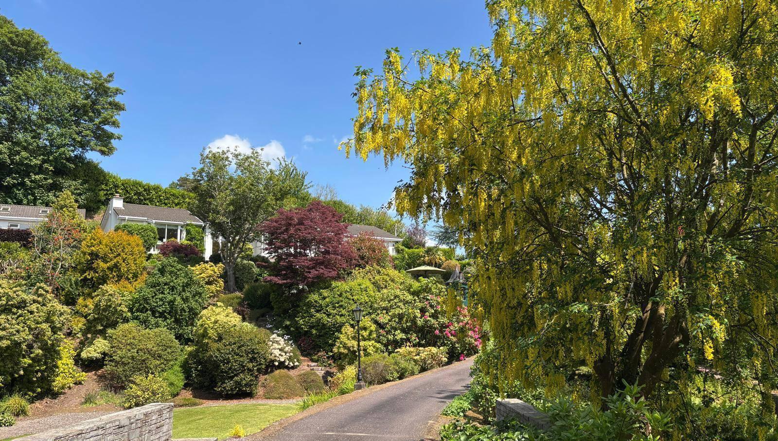 Who needs Fota? This €790k Farran family home comes with 2.18 acres of spectacular gardens