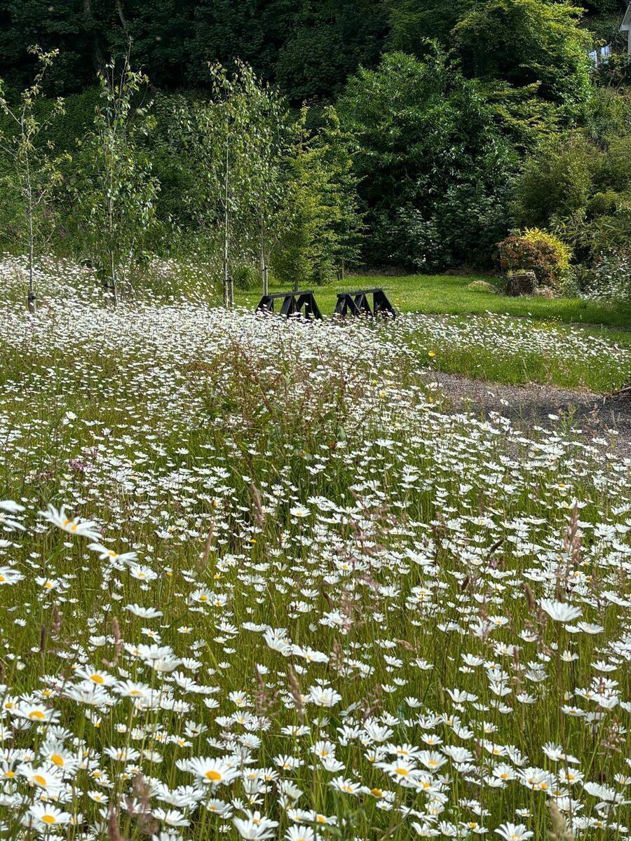 Gardens at Laurel Wood
