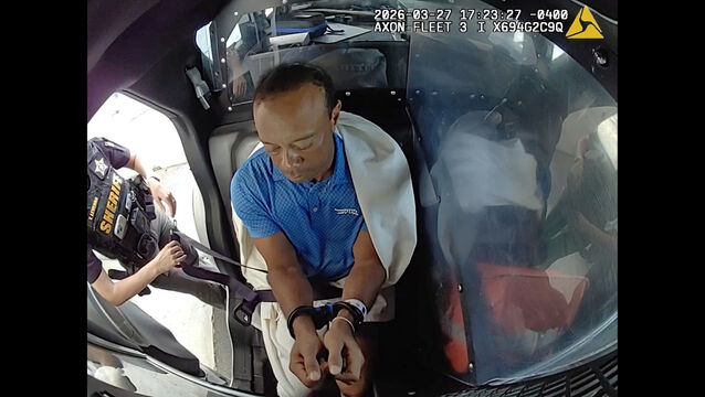 <p>Tiger Woods in a police car after his arrest (Martin County Sheriff’s Office/AP)</p>