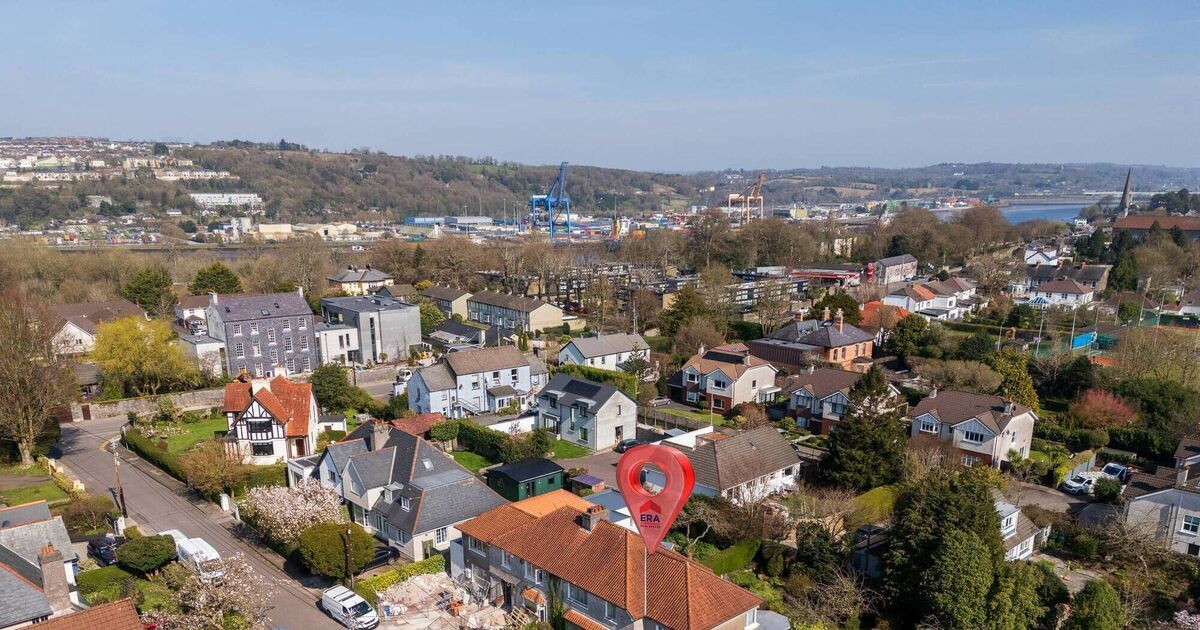 A gem in Blackrock's Menloe Gardens for &euro;750,000