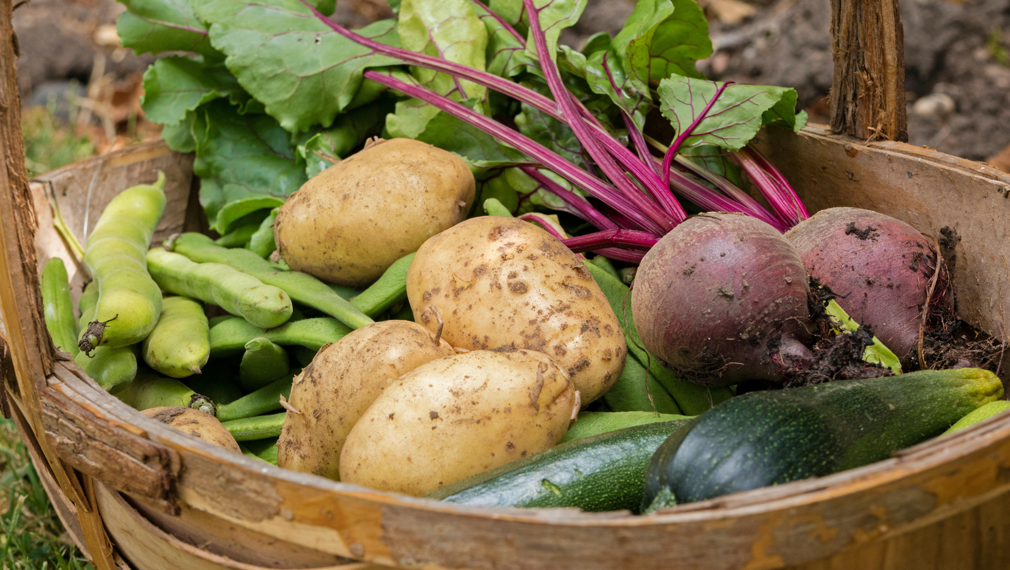 Joe McNamee: It's time for the Irish state to take food security seriously