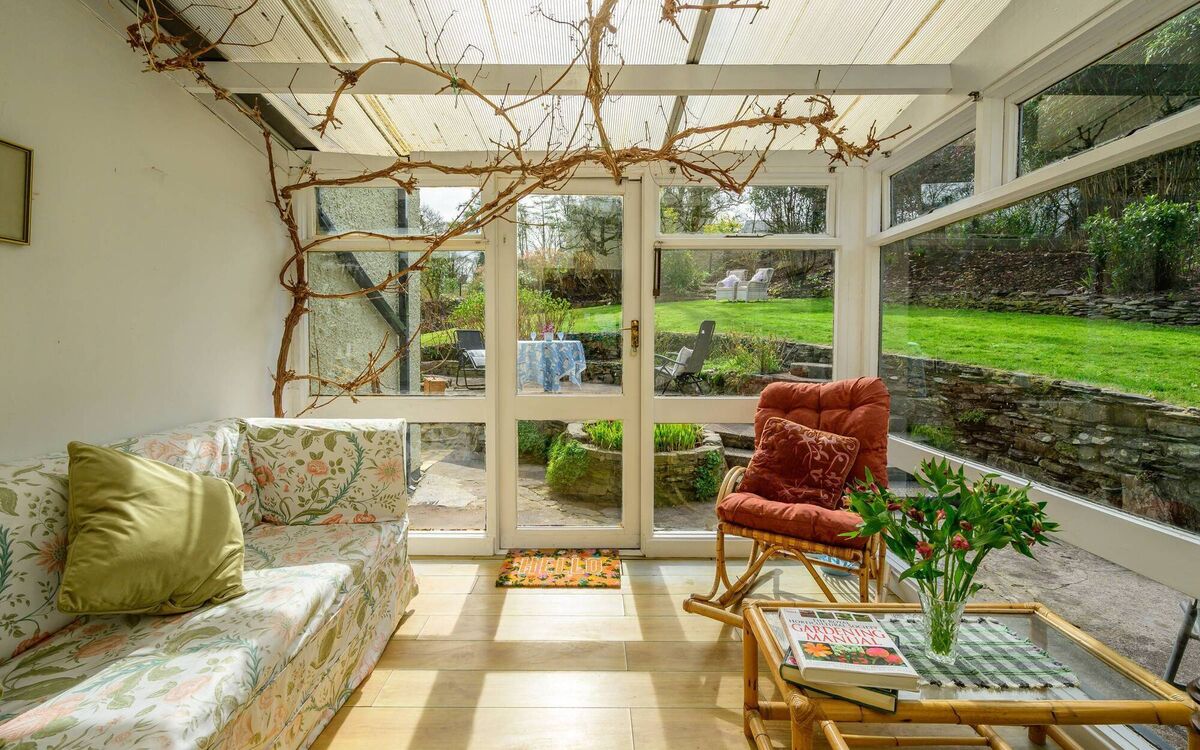 Vine growing in the conservatory