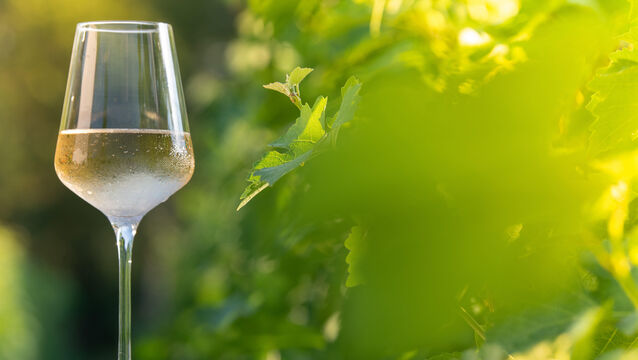 <p>Joe McNamee: "In most regions, whites have improved remarkably, even much-maligned Frascati can be drinkable nowadays, made with Greco or Malvasia rather than Trebbiano."</p>