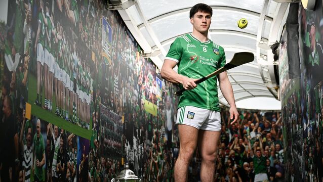 <p>STEPPING UP: Limerick hurler Adam English ahead of the Allianz National Hurling League decider with Cork. Pic: Sam Barnes/Sportsfile</p>