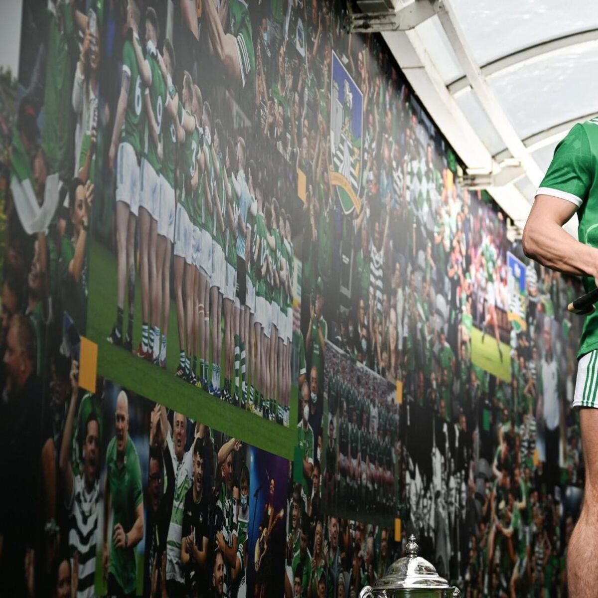 Adam English 'living out dream' of playing with Limerick heroes