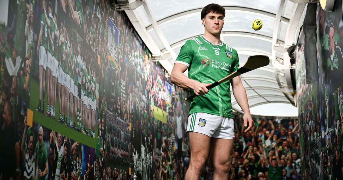 Adam English 'living out dream' of playing with Limerick heroes