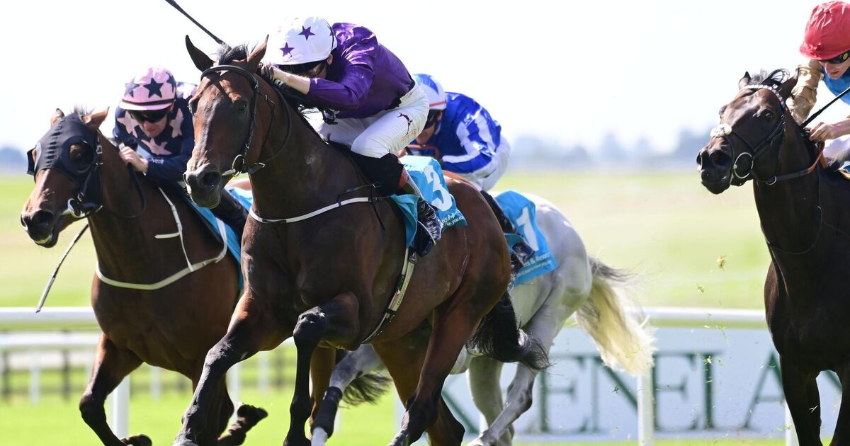 Saturday racing preview: Bucanero Fuerte can make impression in Cork