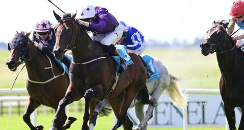 Saturday racing preview: Bucanero Fuerte can make impression in Cork 