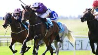 Saturday racing preview: Bucanero Fuerte can make impression in Cork 