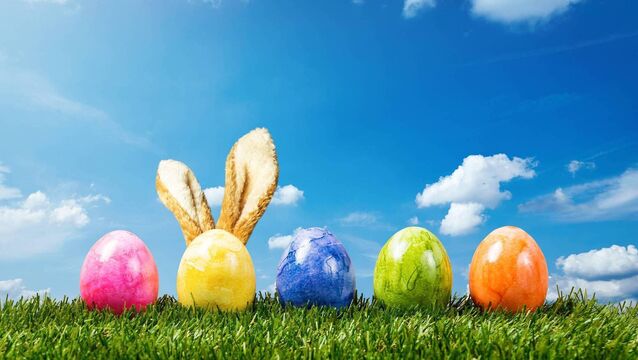 <p>A row of five colorful easter eggs on green grass with bunny ears in Springtime.</p>