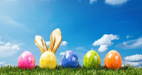 Row of colorful easter eggs on green grass  bunny ears