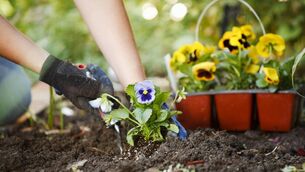 <p>Skibbereen Flower and Garden Club are holding a demonstration with Breda Keohane on Wednesday, April 8.</p>