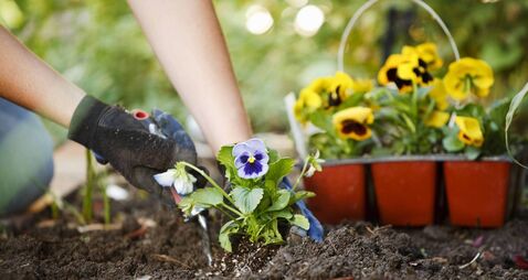 Gardening Hands