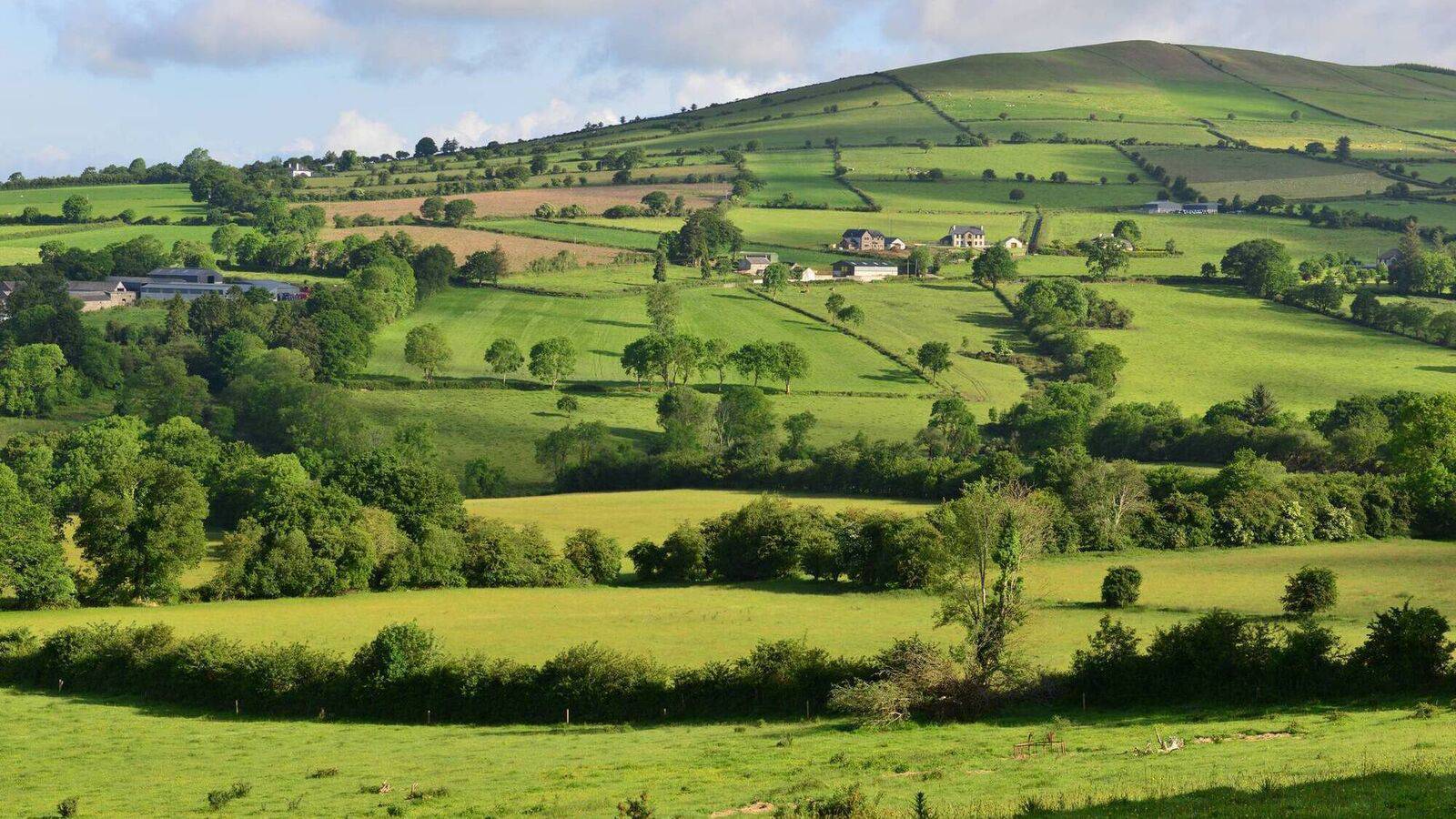 Public warned not to cut hedgerows during bird nesting season