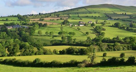 Fields of Ireland