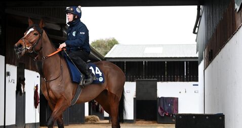 Oldschool Outlaw can boost Elliott’s champion trainer prospects 