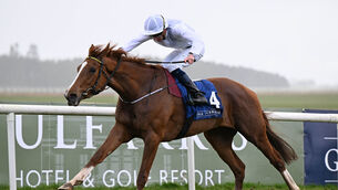 <p>CLASSIC CONTENDER: The Johnny Murtagh-trained Chasing Paradise wins the Irish Stallion Farms EBF Median Auction Fillies Maiden in the hands of Ben Coen win for trainer Johnny Murtagh. 	Picture: Healy Racing</p>