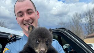 A police officer holding the rescued bear cub (New Jersey State Police via AP)