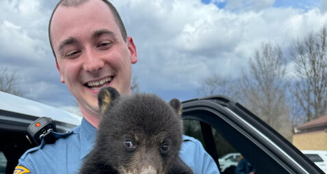 Troopers Rescue Bear Cub