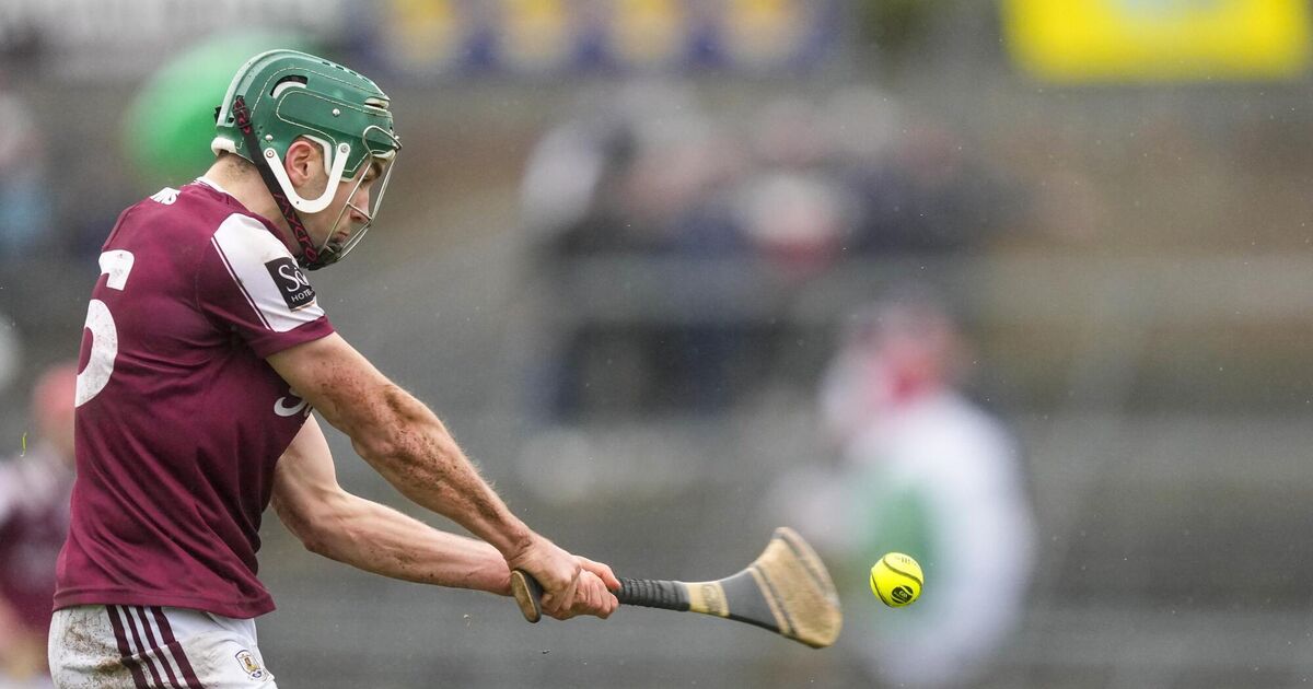 Galway dispatch of Wexford in windswept Leinster U20 opener, Dubs and Cats cruise to first wins