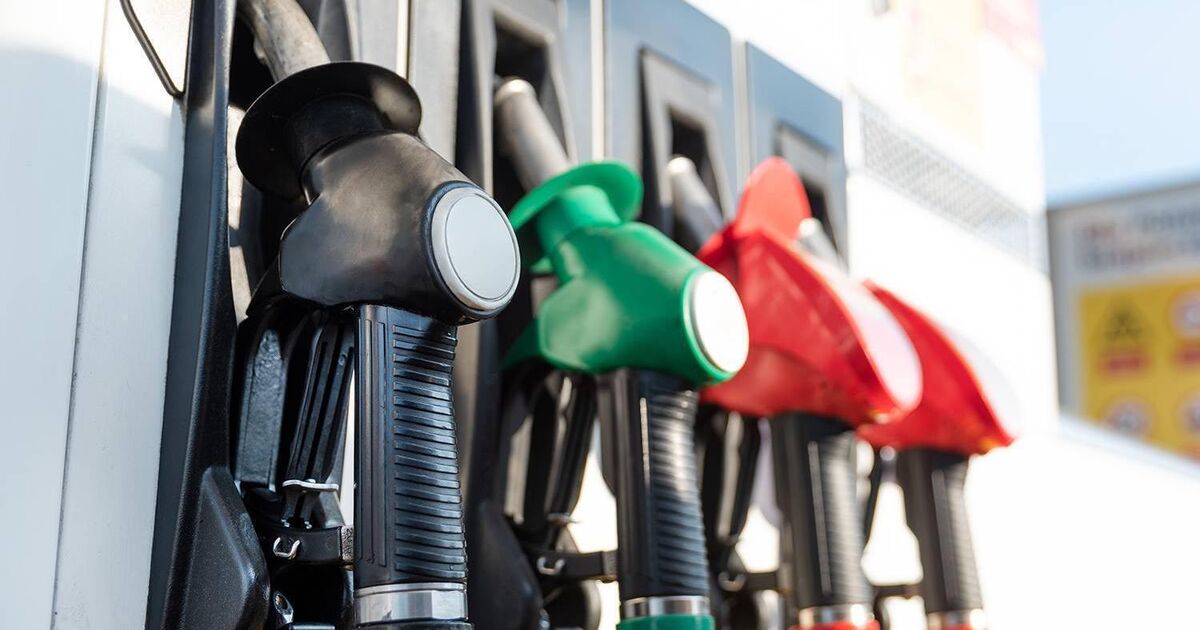 Call for EU windfall tax on energy profits as fuel prices rise