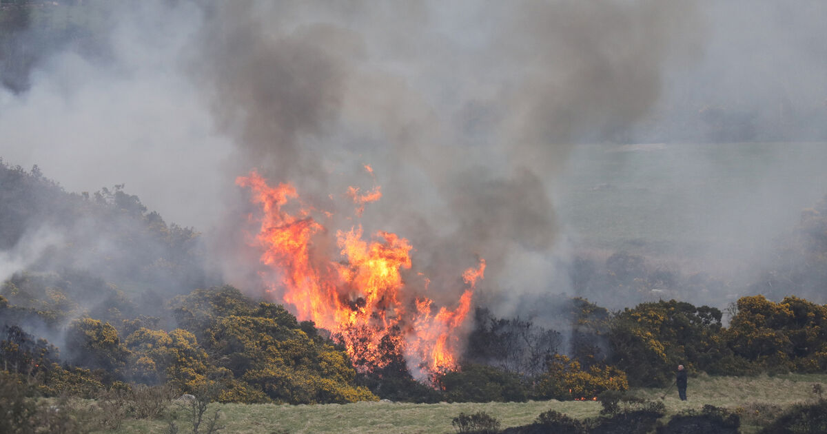 Significant increase in number of wildfires across Ireland last year