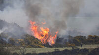 Significant increase in number of wildfires across Ireland last year
