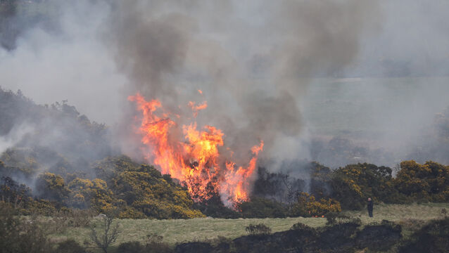 <p>Last year’s wildfires in the Republic covered an area of 5,013ha, mostly on natural open spaces with sparse vegetation — up from 200 ha the previous year. File picture: Eamonn Farrell/RollingNews.ie</p>