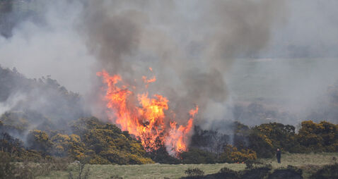 Significant increase in number of wildfires across Ireland last year Significant increase in number of wildfires across Ireland last year