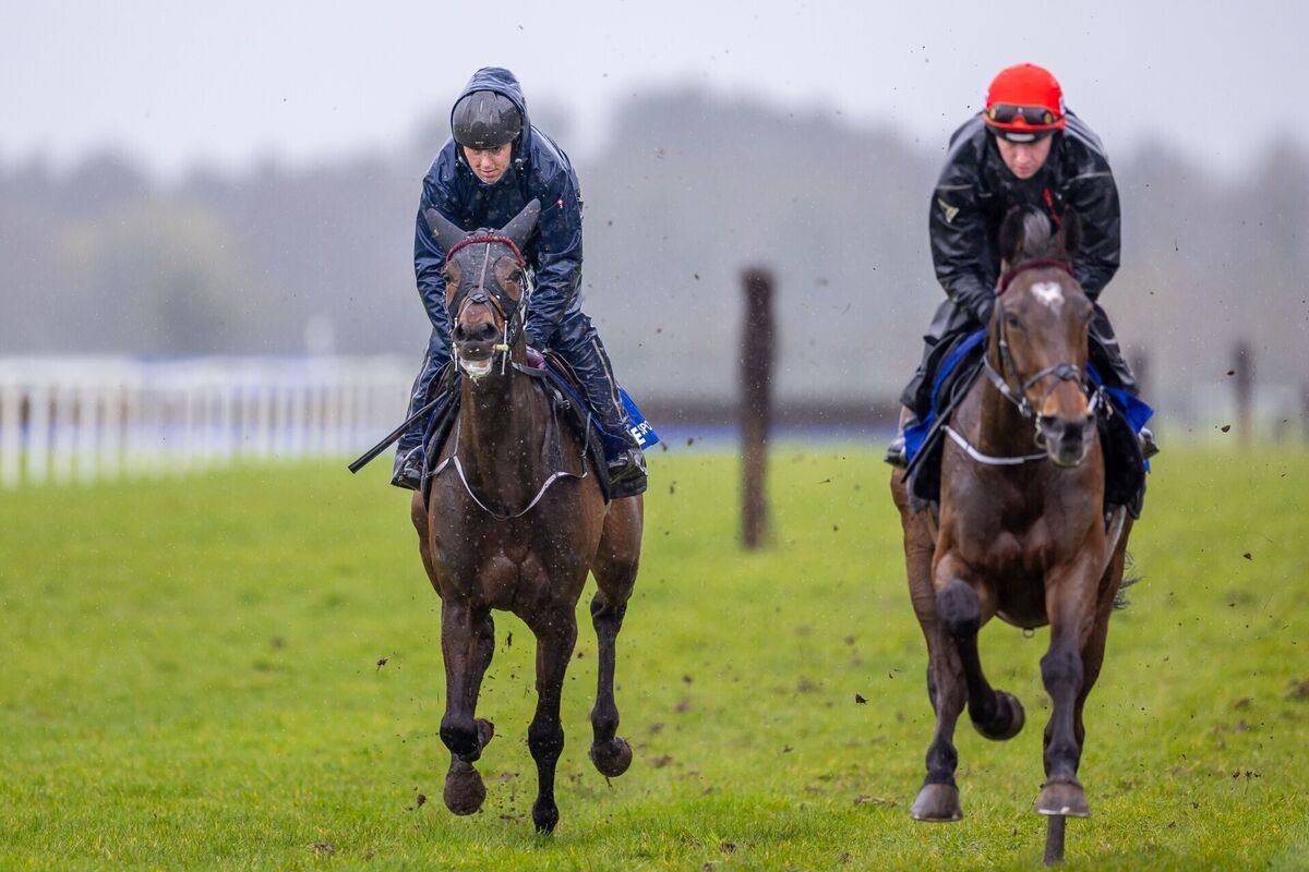 READY FOR BATTL:E: Emmet Mullin’s Soldier In Milan with Donagh Meyler (red hat) onboard at the launch of the Fairyhouse Easter Festival. Pic: INPHO/Morgan Treacy READY FOR BATTL:E: Emmet Mullin’s Soldier In Milan with Donagh Meyler (red hat) onboard at the launch of the Fairyhouse Easter Festival. Pic: INPHO/Morgan Treacy