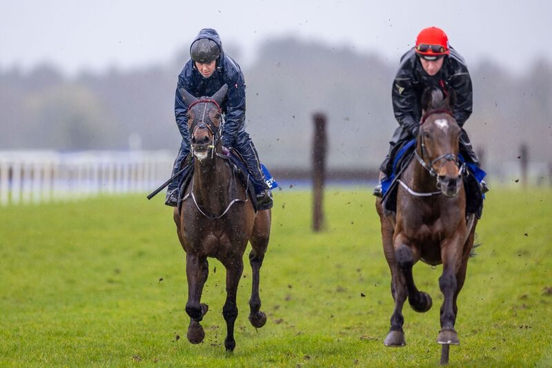 READY FOR BATTL:E: Emmet Mullin’s Soldier In Milan with Donagh Meyler (red hat) onboard at the launch of the Fairyhouse Easter Festival. Pic: INPHO/Morgan Treacy READY FOR BATTL:E: Emmet Mullin’s Soldier In Milan with Donagh Meyler (red hat) onboard at the launch of the Fairyhouse Easter Festival. Pic: INPHO/Morgan Treacy