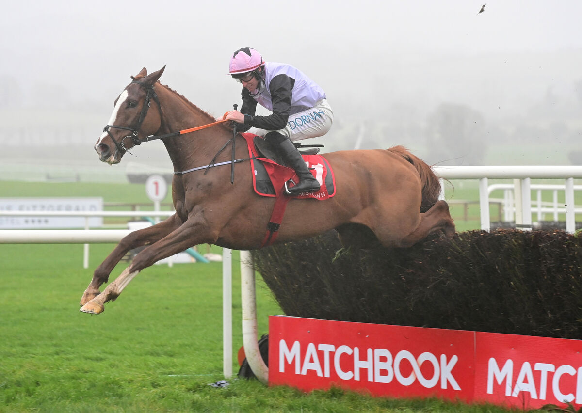 BLUE IS THE COLOUR: Kurasso Blue and Jack Kennedy win the Irish Stallion Farms EBF Beginners Steeplechase at Punchestown. Pic:Â Healy Racing Photo. BLUE IS THE COLOUR: Kurasso Blue and Jack Kennedy win the Irish Stallion Farms EBF Beginners Steeplechase at Punchestown. Pic:Â Healy Racing Photo.
