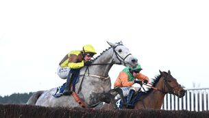 <p>THE BOY WONDER: Argento Boy and Paul Townend win for trainer Willie Mullins earlier this year. Pic: Healy Racing</p>