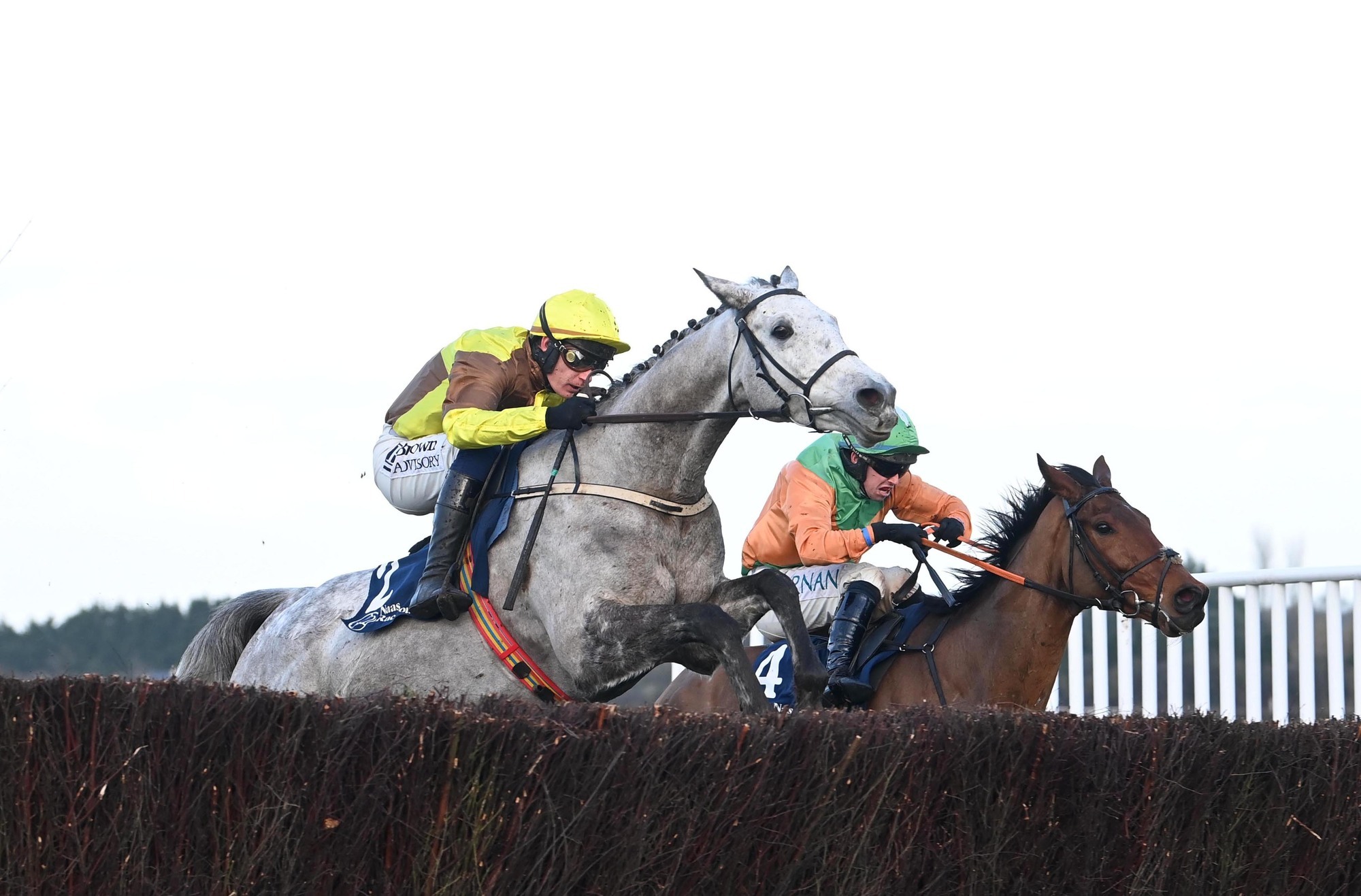 Ruby Walsh's Irish National horse-by-horse guide