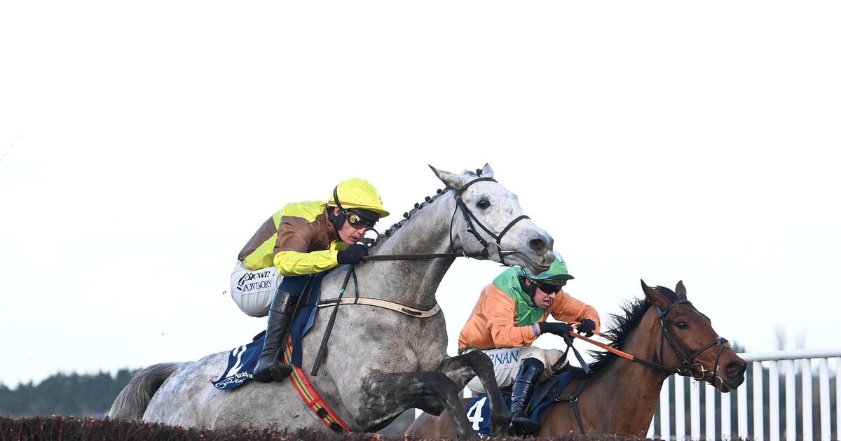 Ruby Walsh's Irish National horse-by-horse guide