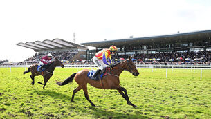 <p>CHASING THE SUN: Zanoosh and Brian Hayes win for owners Winning Ways Reunion Syndicate and trainer Colm Murphy. Pic:Â Healy Racing</p> <p>CHASING THE SUN: Zanoosh and Brian Hayes win for owners Winning Ways Reunion Syndicate and trainer Colm Murphy. Pic:Â Healy Racing</p>