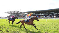 Cobden lands first Irish winner 